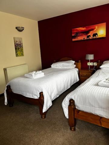 The Fountain Inn Tenbury Wells Ngoại thất bức ảnh